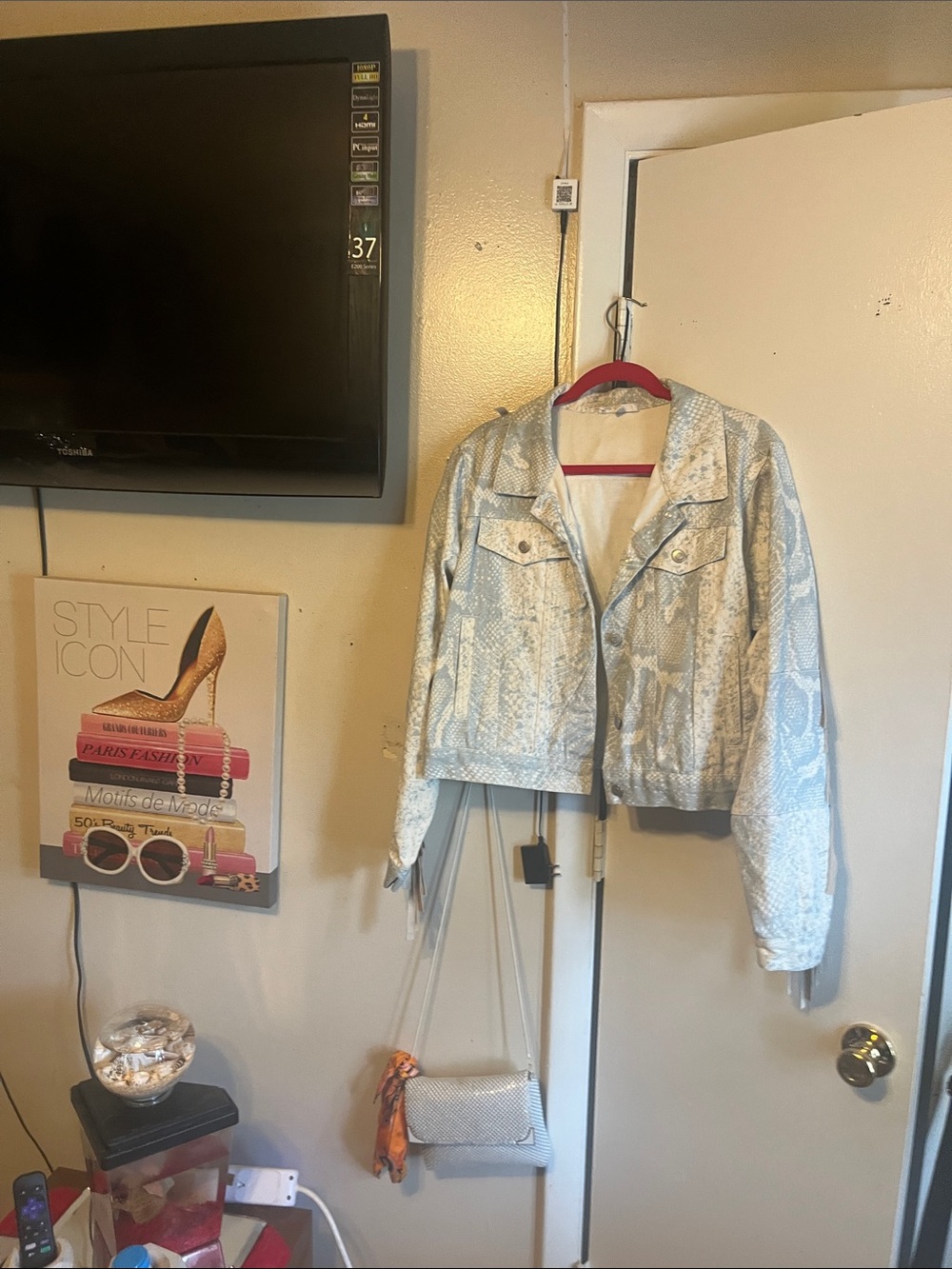 Peach Love California Silver Snake-Print Cropped Jean Jacket